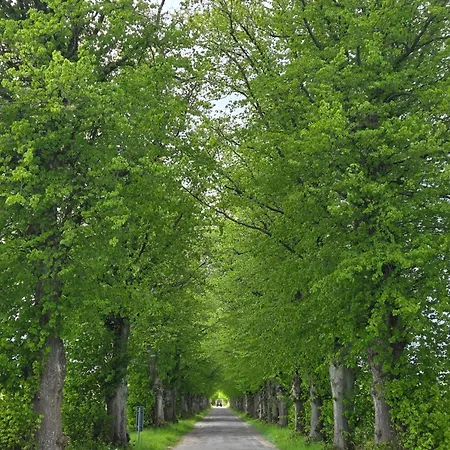 Jozef Z Prywatnym Duzym Jacuzzi I Sauna Przystan Pod Niebem 公寓 Leczyce