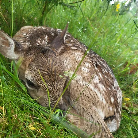 Jozef Z Prywatnym Duzym Jacuzzi I Sauna Przystan Pod Niebem