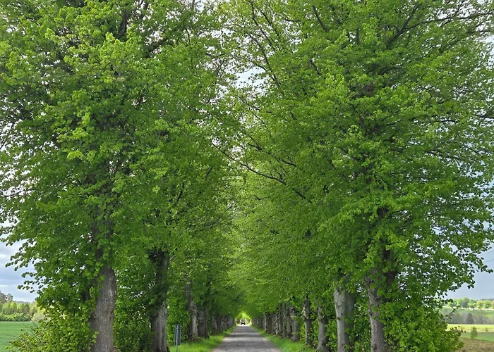 Jozef Z Prywatnym Duzym Jacuzzi I Sauna Przystan Pod Niebem Apartment Leczyce