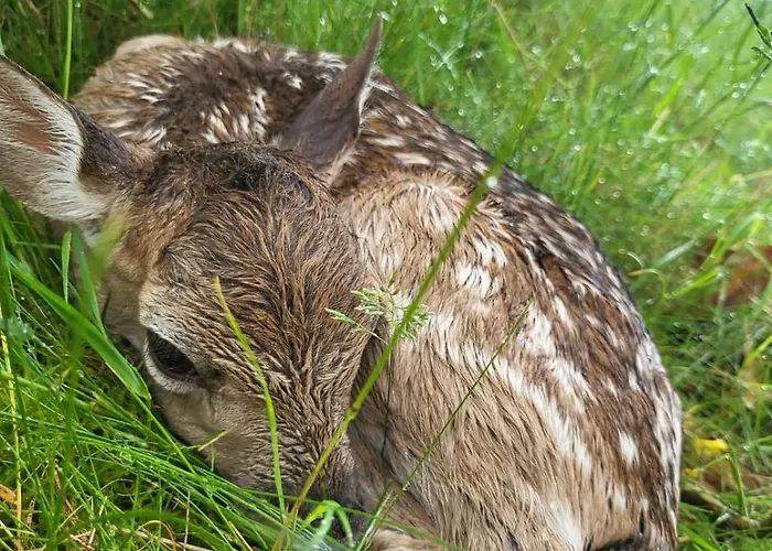 Jozef Z Prywatnym Duzym Jacuzzi I Sauna Przystan Pod Niebem